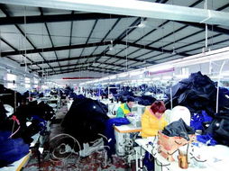 一個濱州人的服裝企業(yè)夢