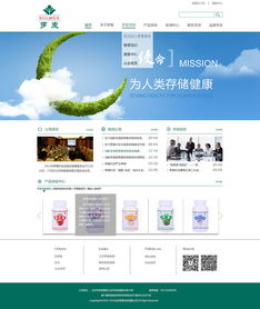 企業(yè)網(wǎng)站設(shè)計 構(gòu)建數(shù)字時代的品牌門面與業(yè)務(wù)引擎